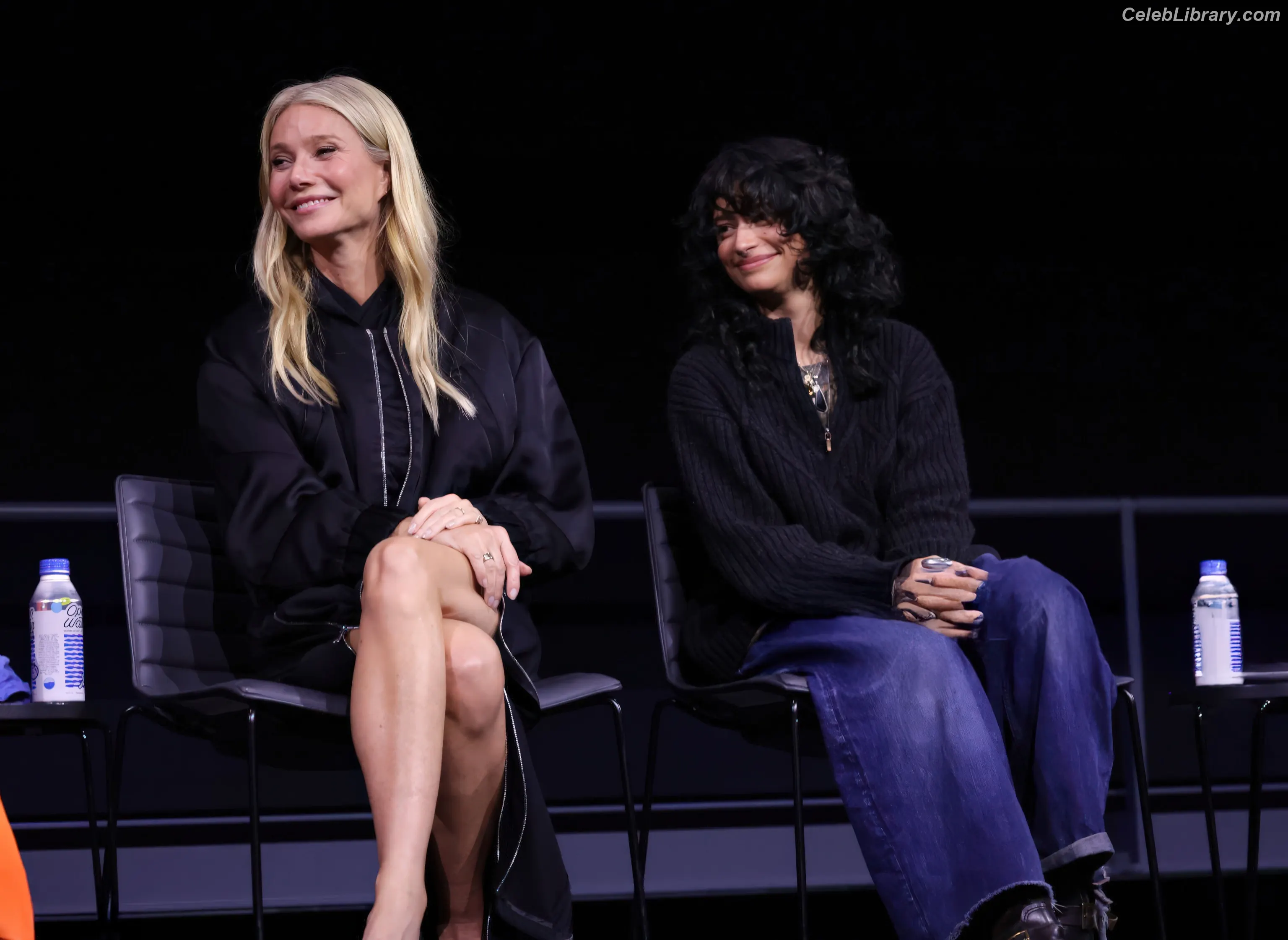 Gwyneth Paltrow photo 6 of 297