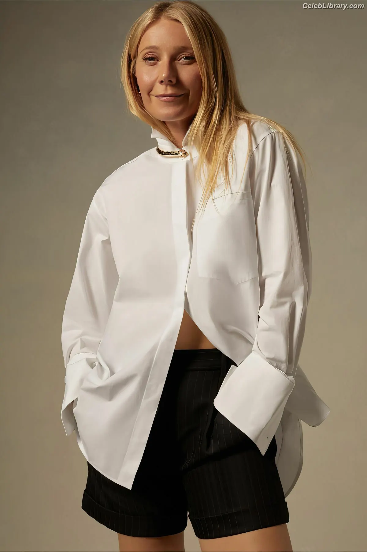 Gwyneth Paltrow photo 12 of 297