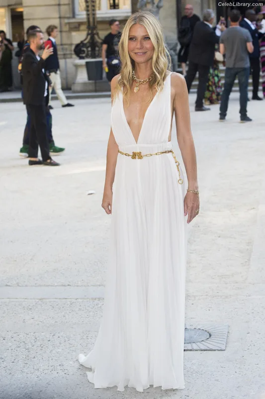Gwyneth Paltrow photo 16 of 298