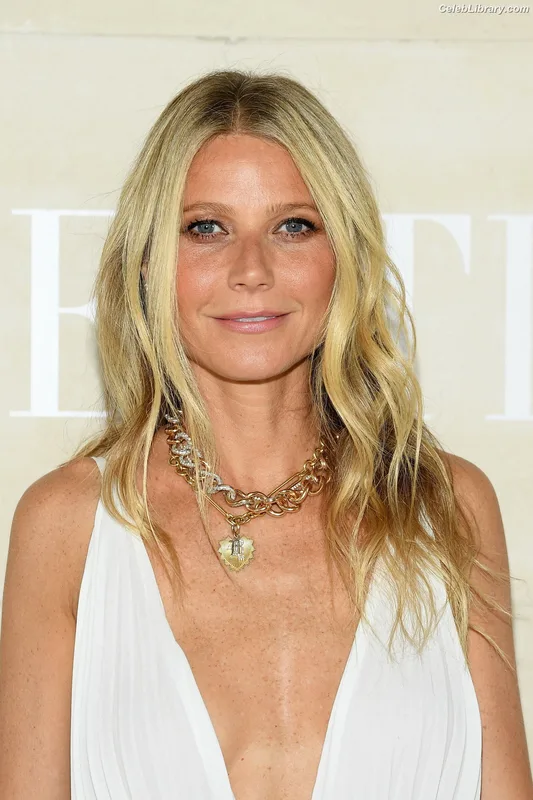 Gwyneth Paltrow photo 5 of 298