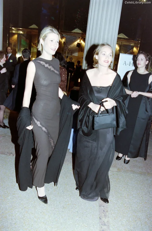 Gwyneth Paltrow photo 10 of 298