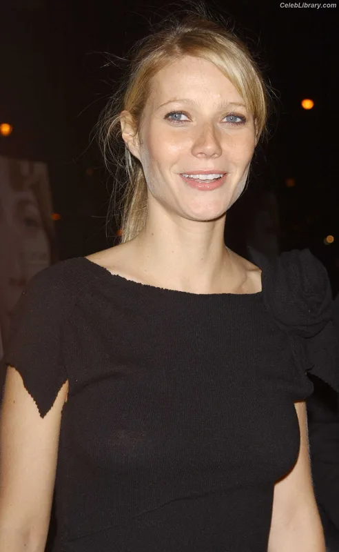 Gwyneth Paltrow photo 17 of 298