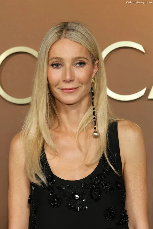 Gwyneth Paltrow photo 3 of 298