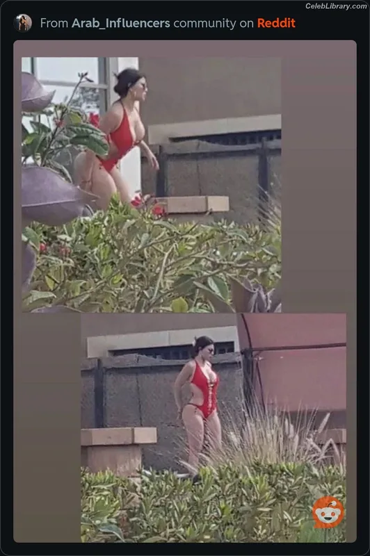 Haifa Wehbe photo 5 of 20