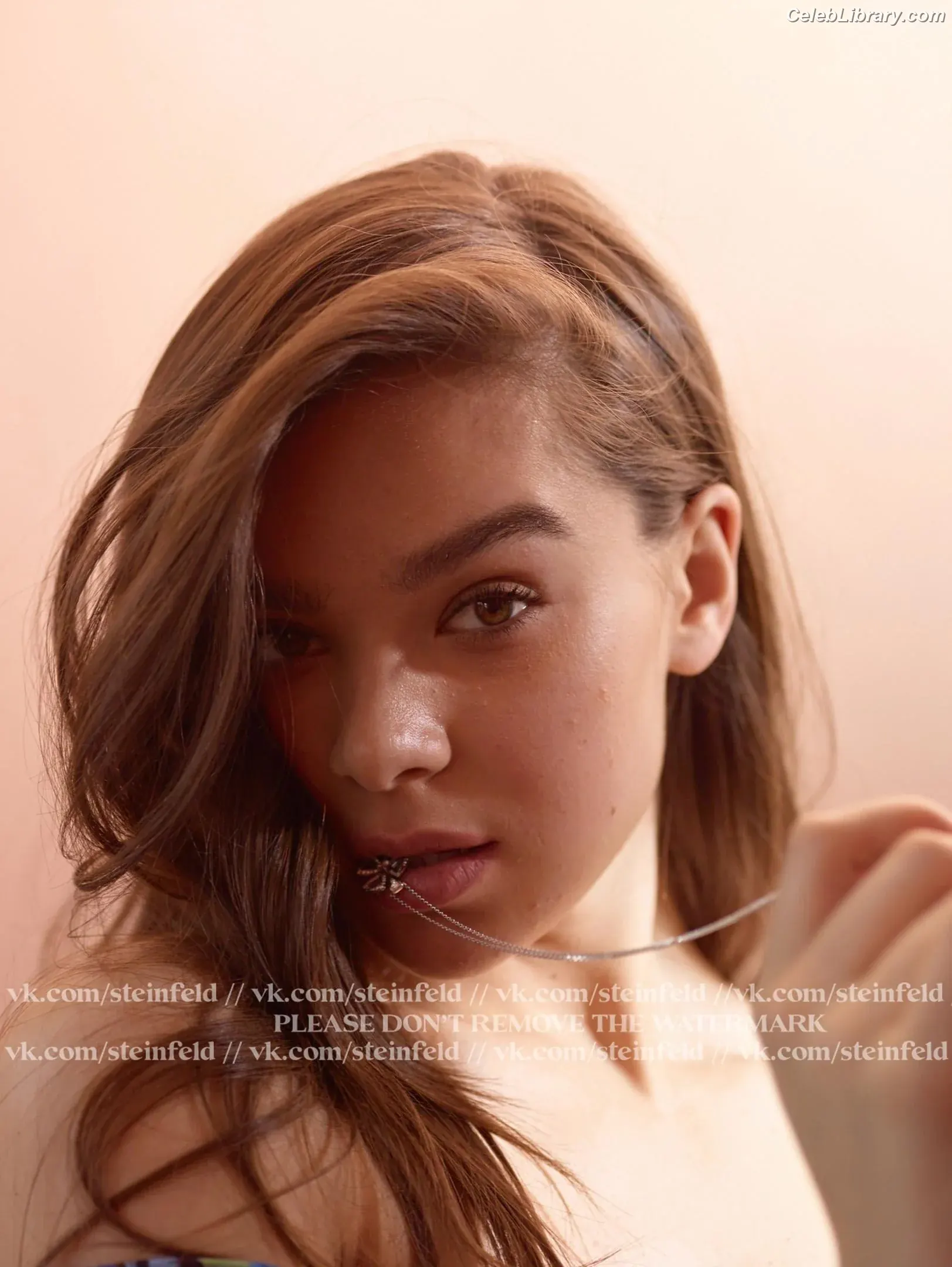 Hailee Steinfeld photo 6 of 1041