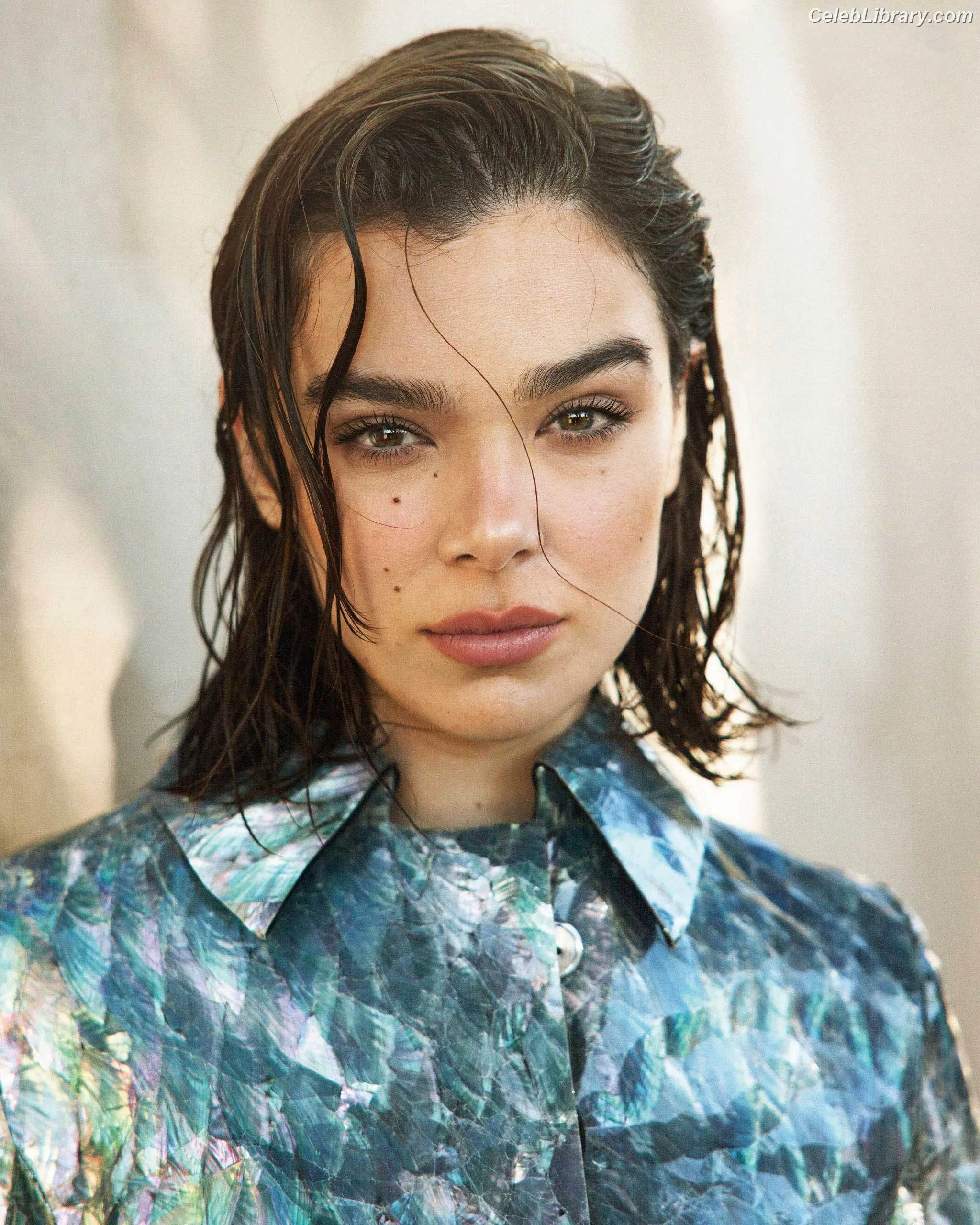 Hailee Steinfeld photo 17 of 1041