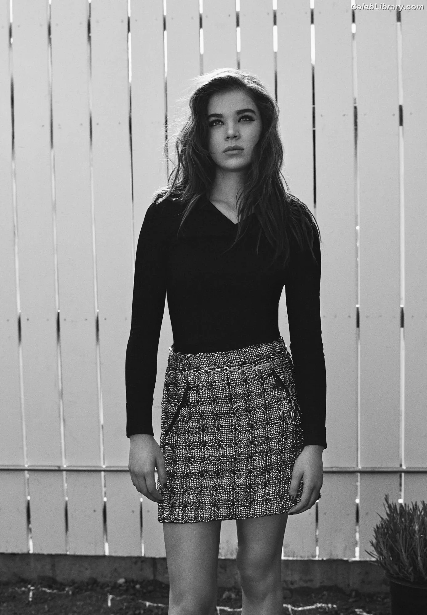 Hailee Steinfeld photo 23 of 1041