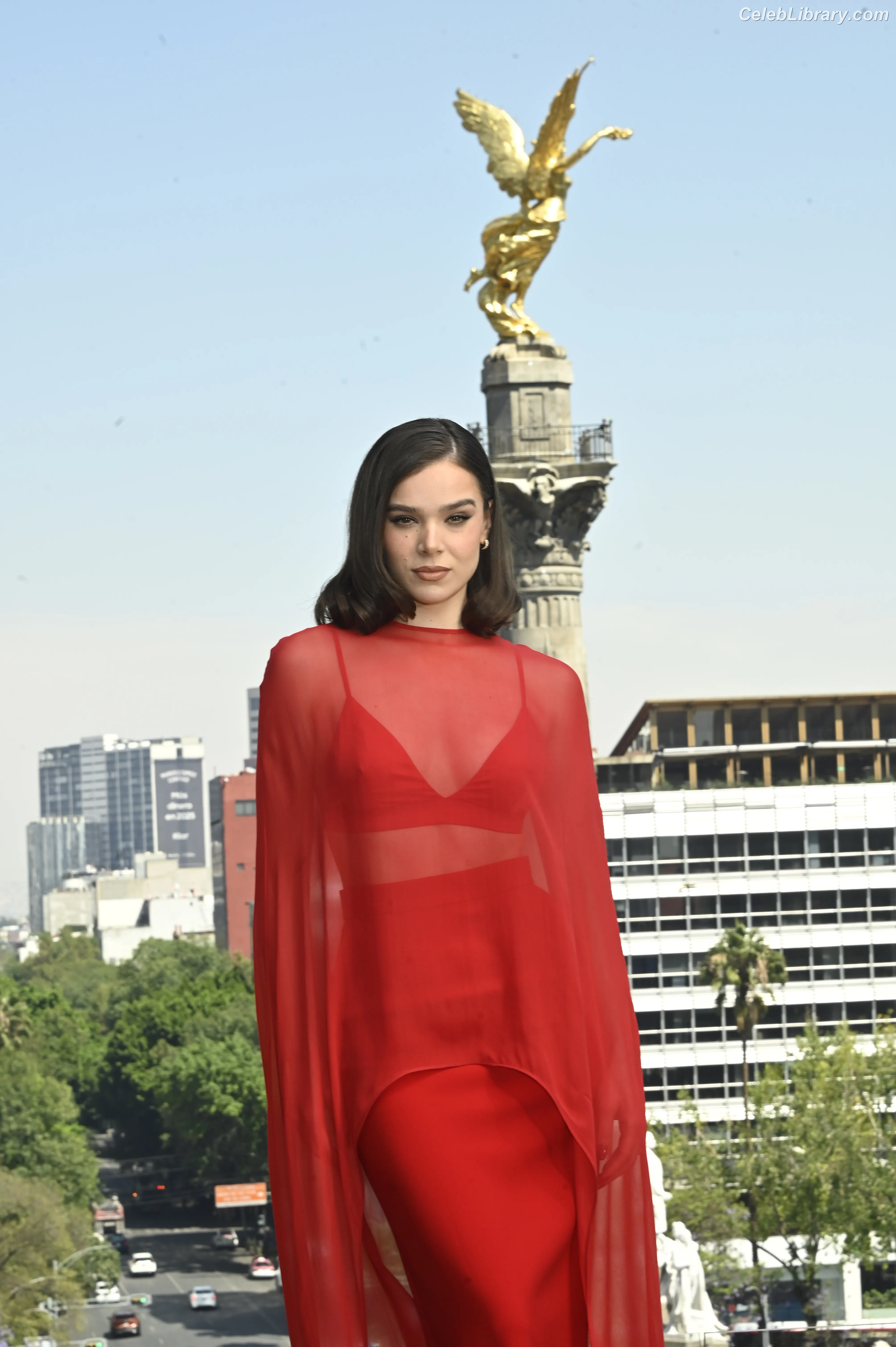 Hailee Steinfeld photo 1 of 1041