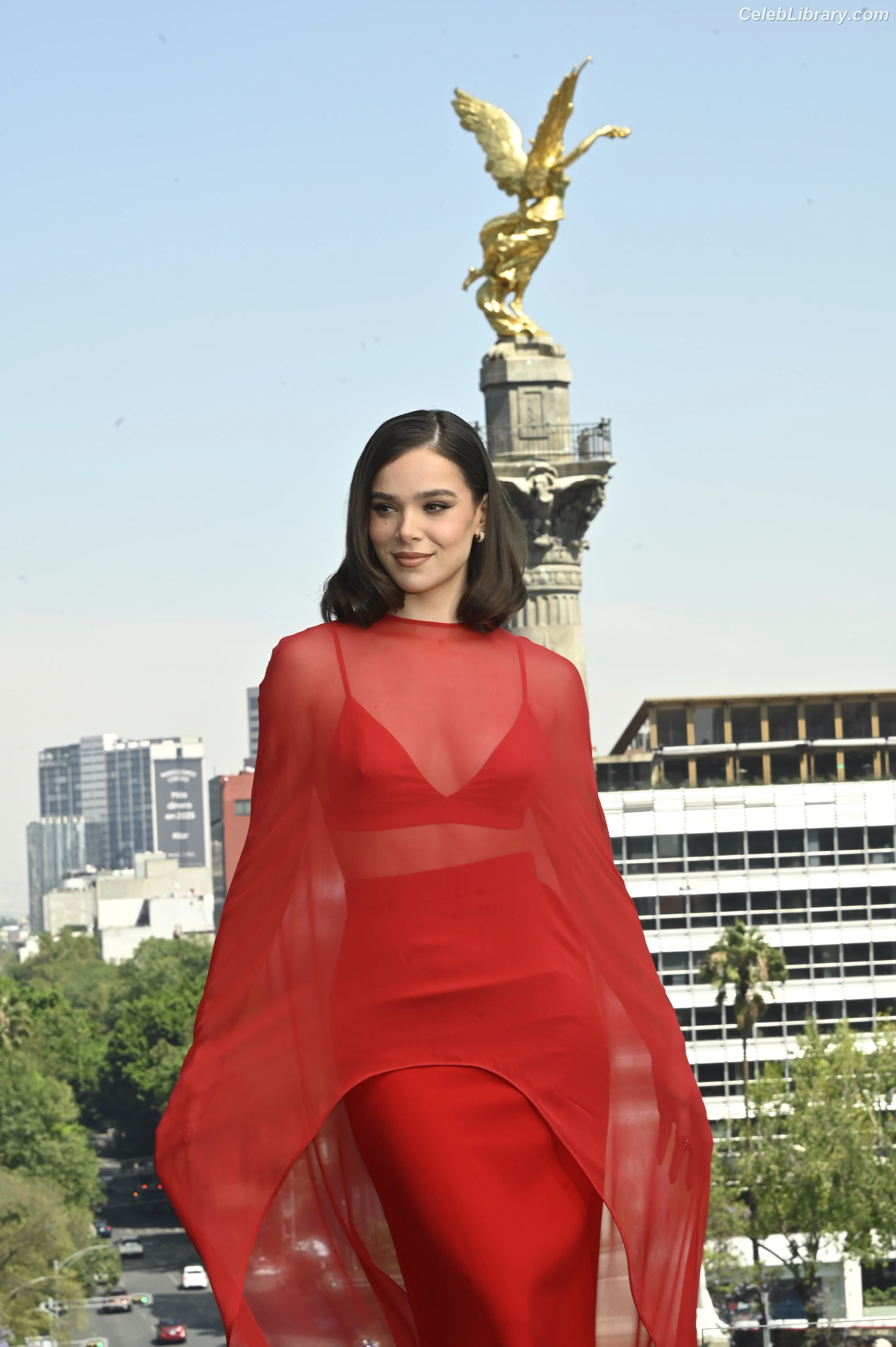 Hailee Steinfeld photo 3 of 1041