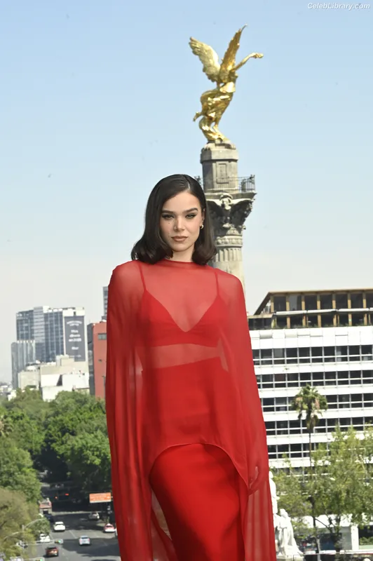 Hailee Steinfeld photo 1 of 1042