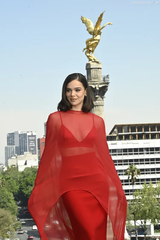Hailee Steinfeld photo 3 of 1042