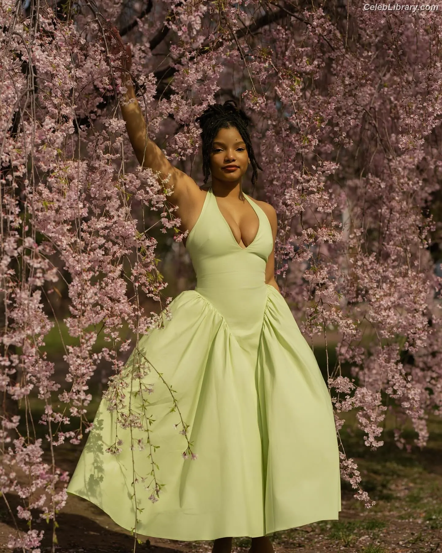 Halle Bailey photo 7 of 712