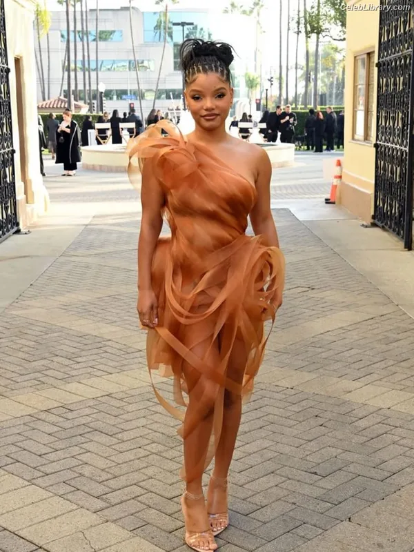 Halle Bailey photo 21 of 713