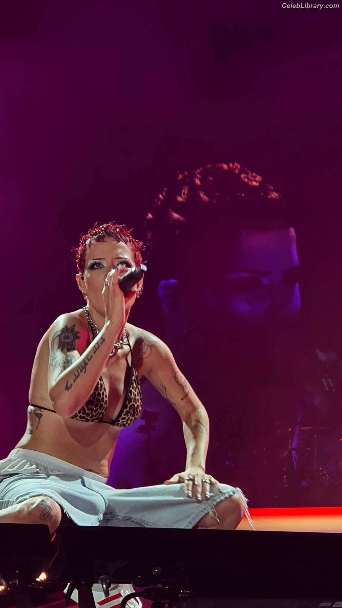 Halsey photo 4 of 1181