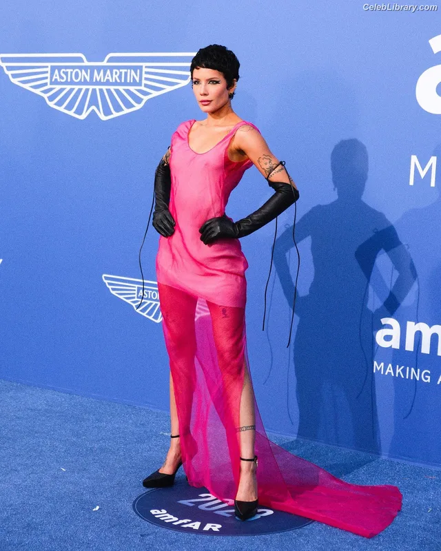 Halsey photo 11 of 1182