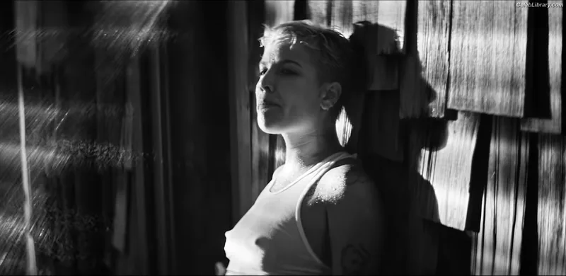 Halsey photo 23 of 1182