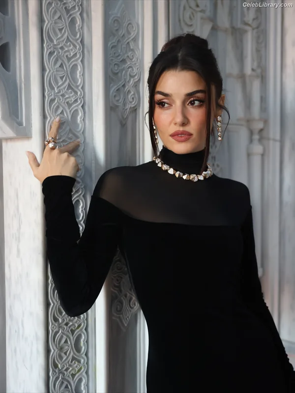Hande Ercel photo 14 of 434