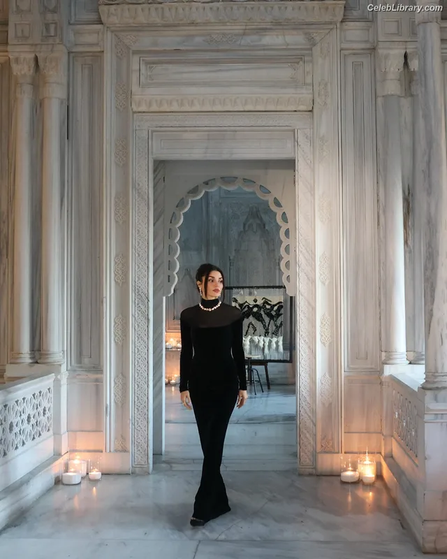 Hande Ercel photo 1 of 434