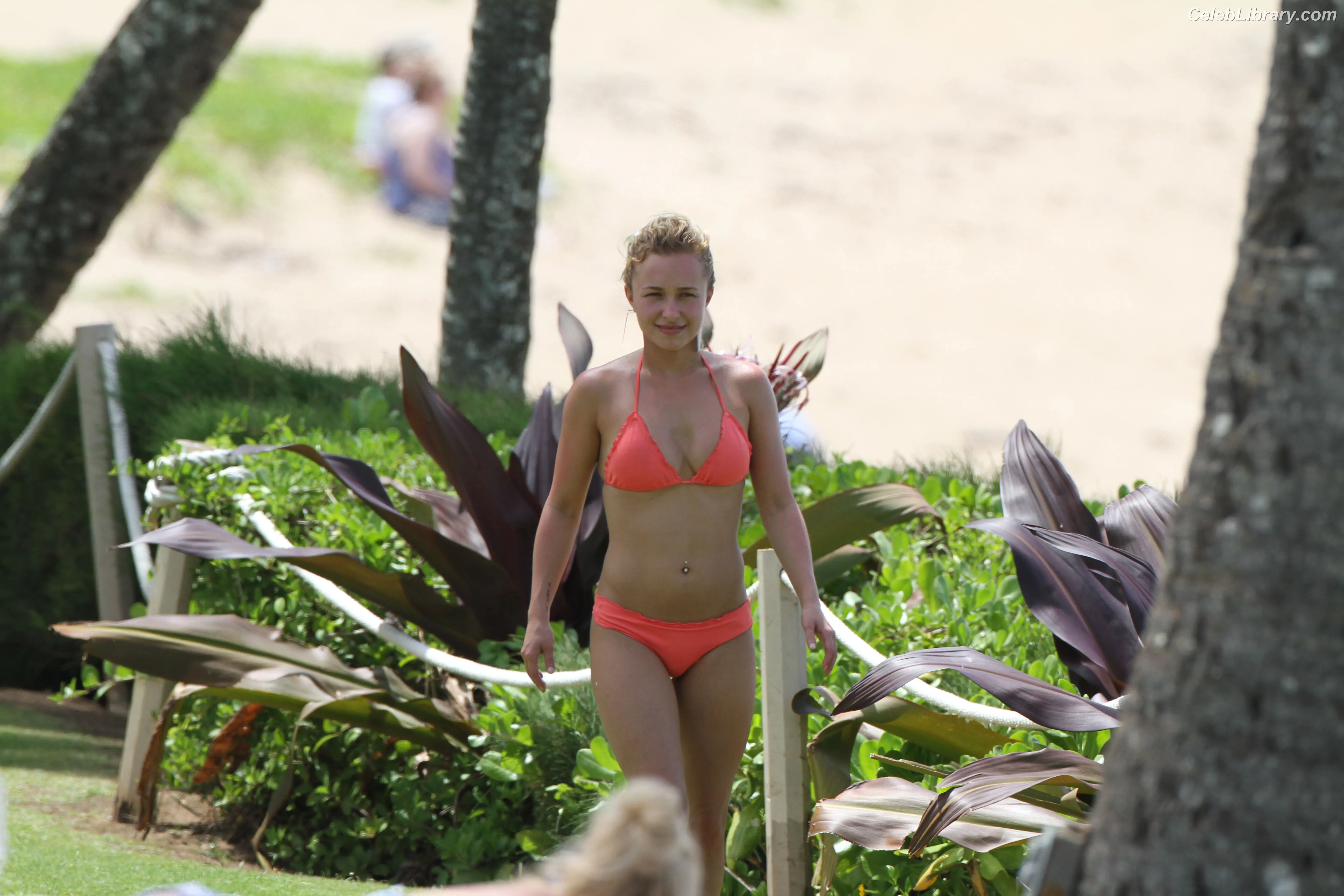 Hayden Panettiere photo 15 of 405