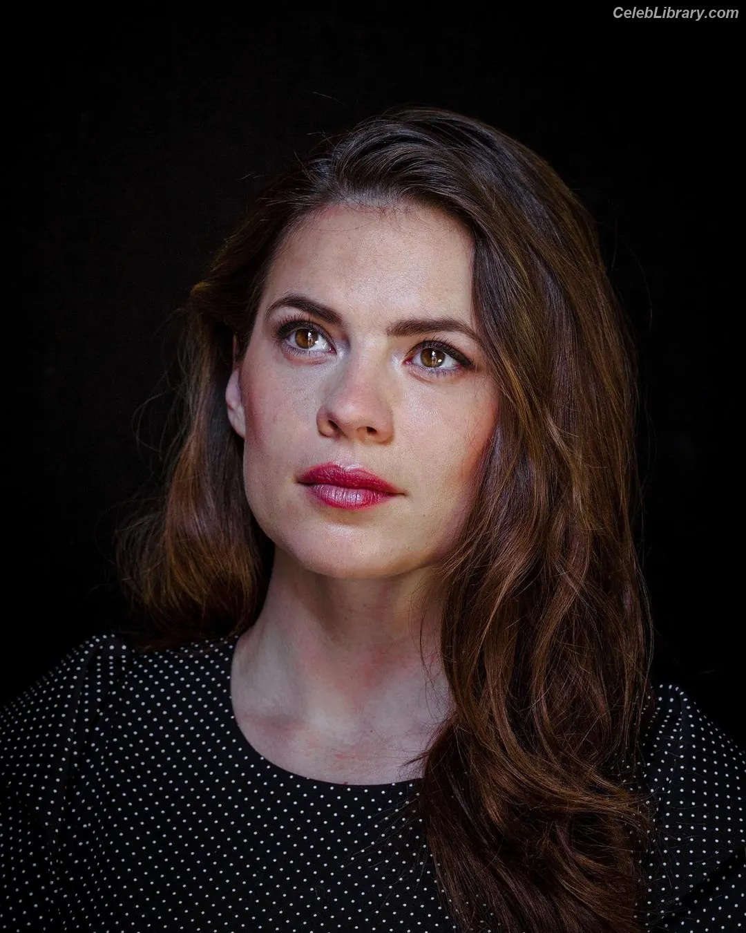 Hayley Atwell photo 7 of 541