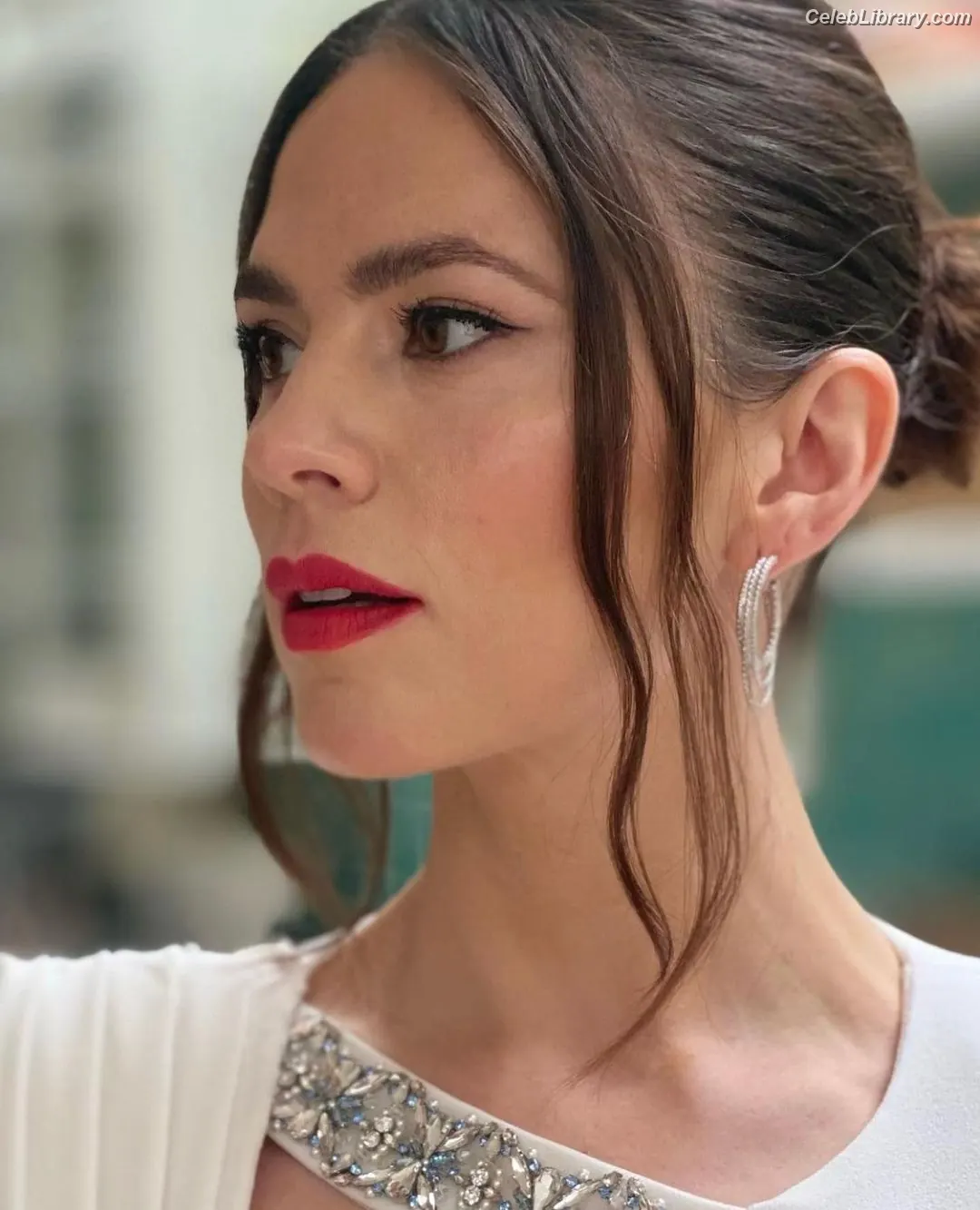 Hayley Atwell photo 18 of 541