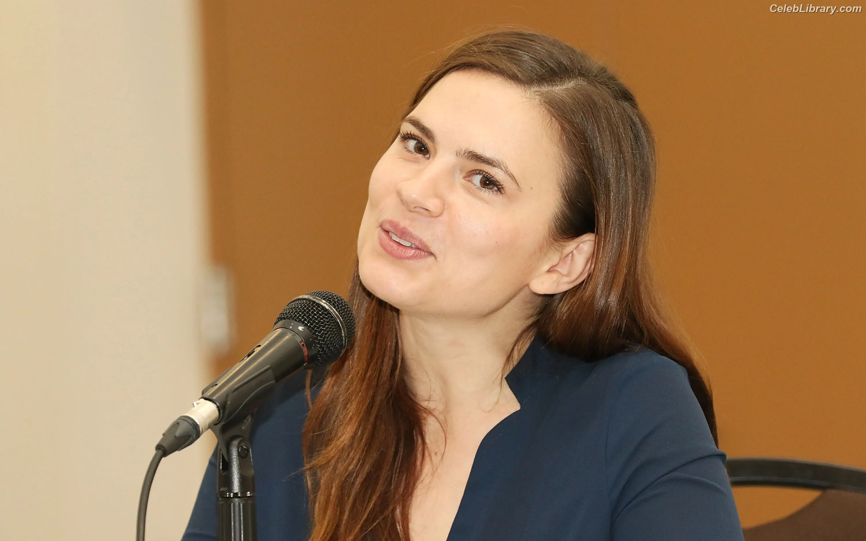 Hayley Atwell photo 5 of 541