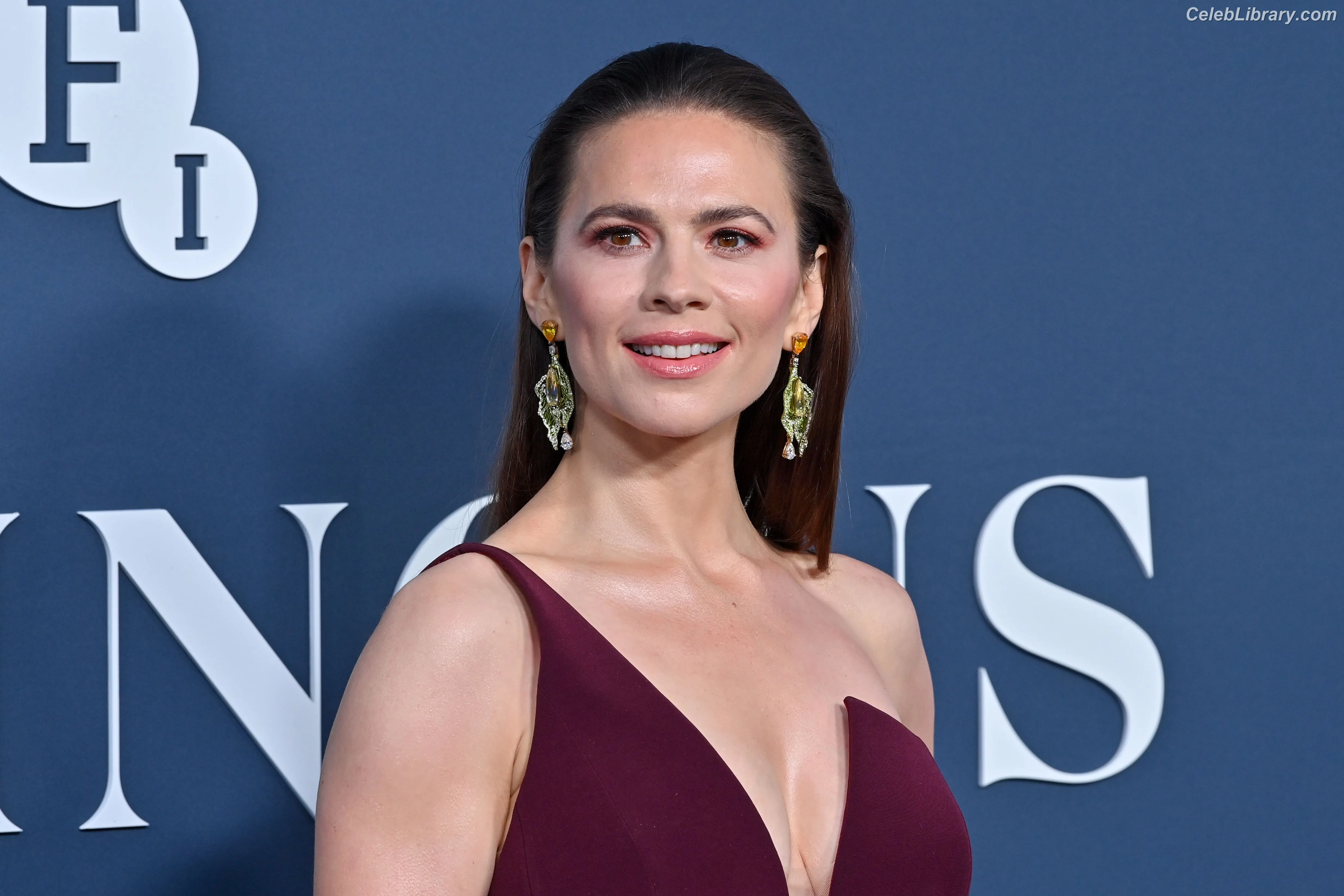 Hayley Atwell photo 6 of 541