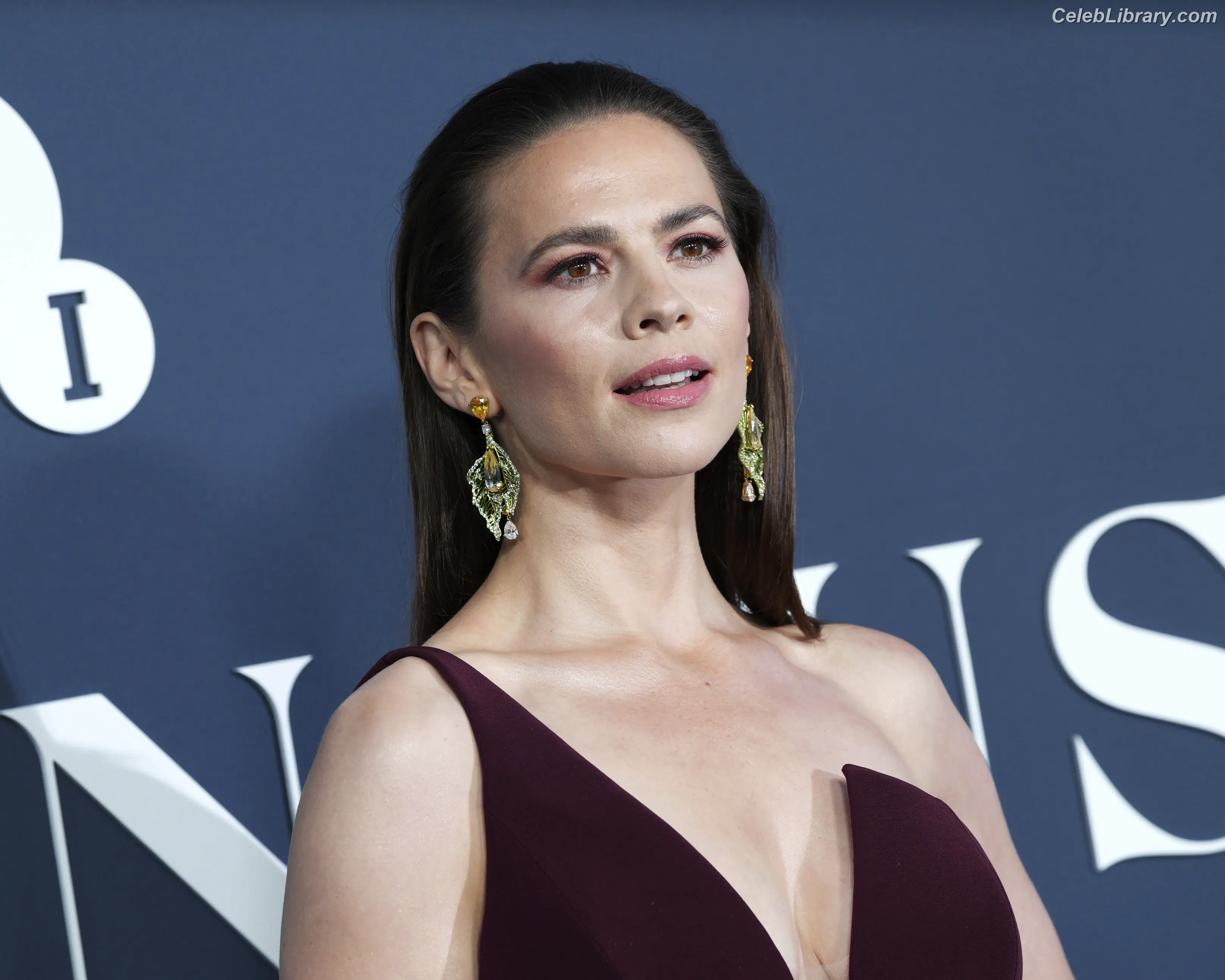 Hayley Atwell photo 8 of 541