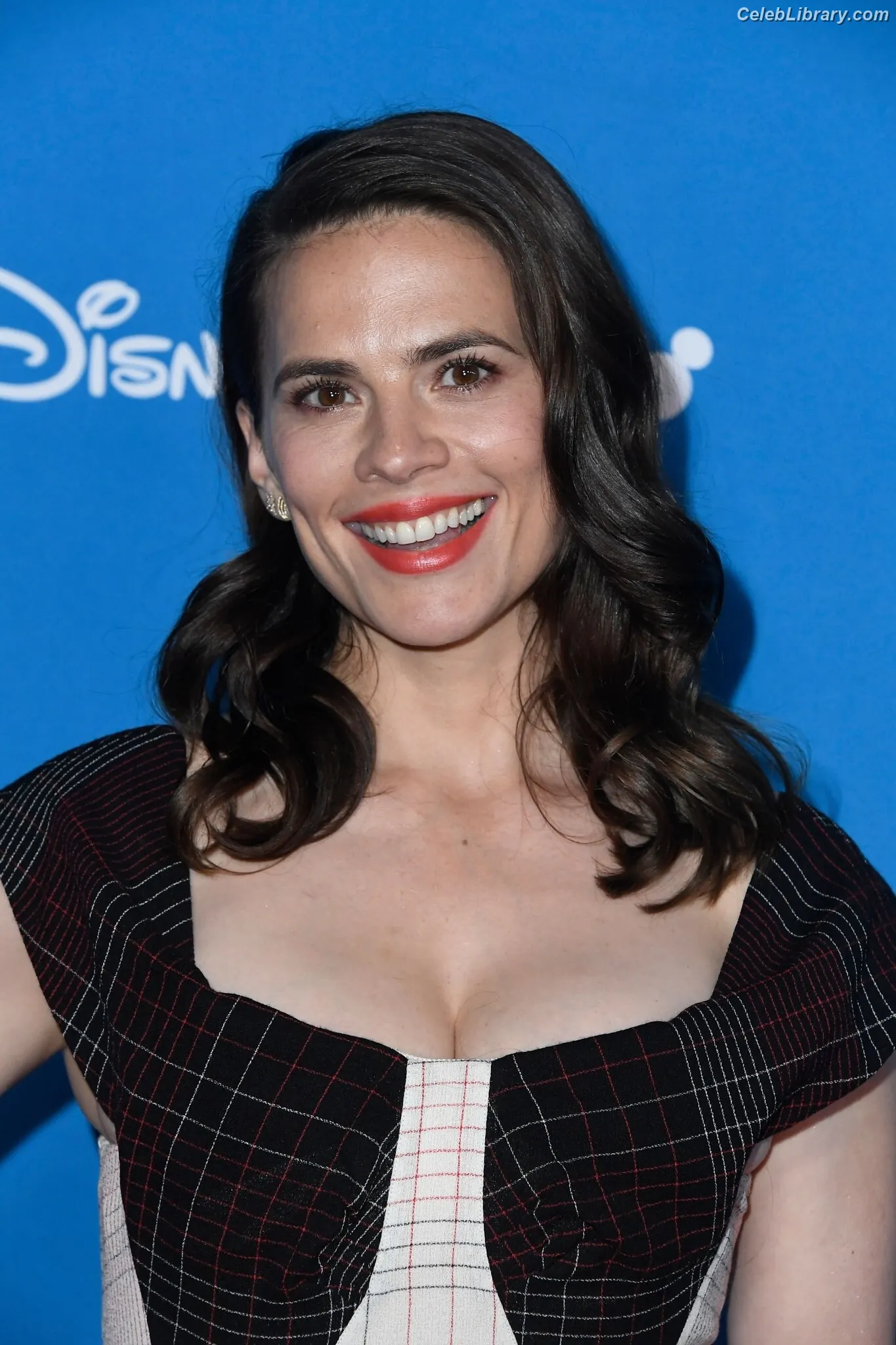 Hayley Atwell photo 12 of 541