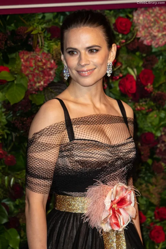 Hayley Atwell photo 17 of 542