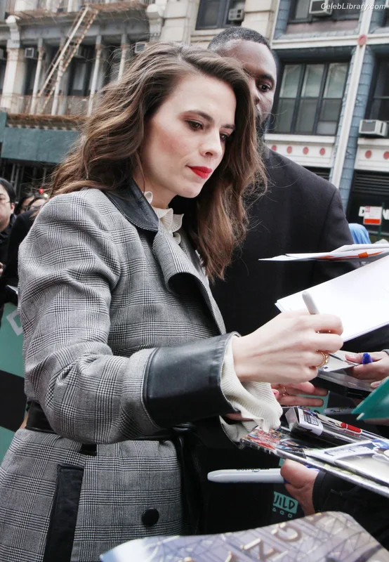 Hayley Atwell photo 8 of 542