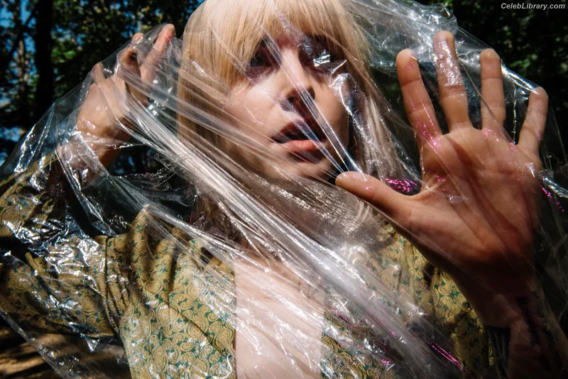 Hayley Williams photo 23 of 373