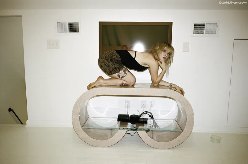 Hayley Williams photo 23 of 373