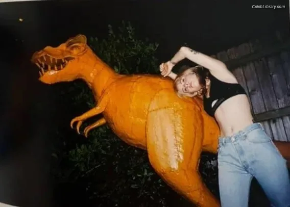 Hayley Williams photo 1 of 373