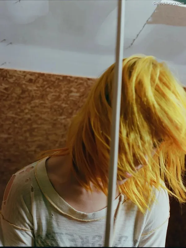Hayley Williams photo 21 of 373