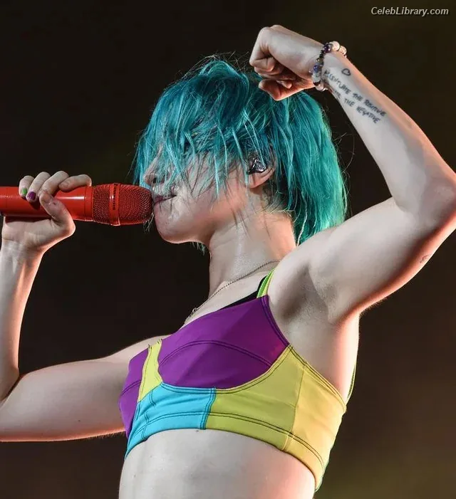 Hayley Williams photo 3 of 373