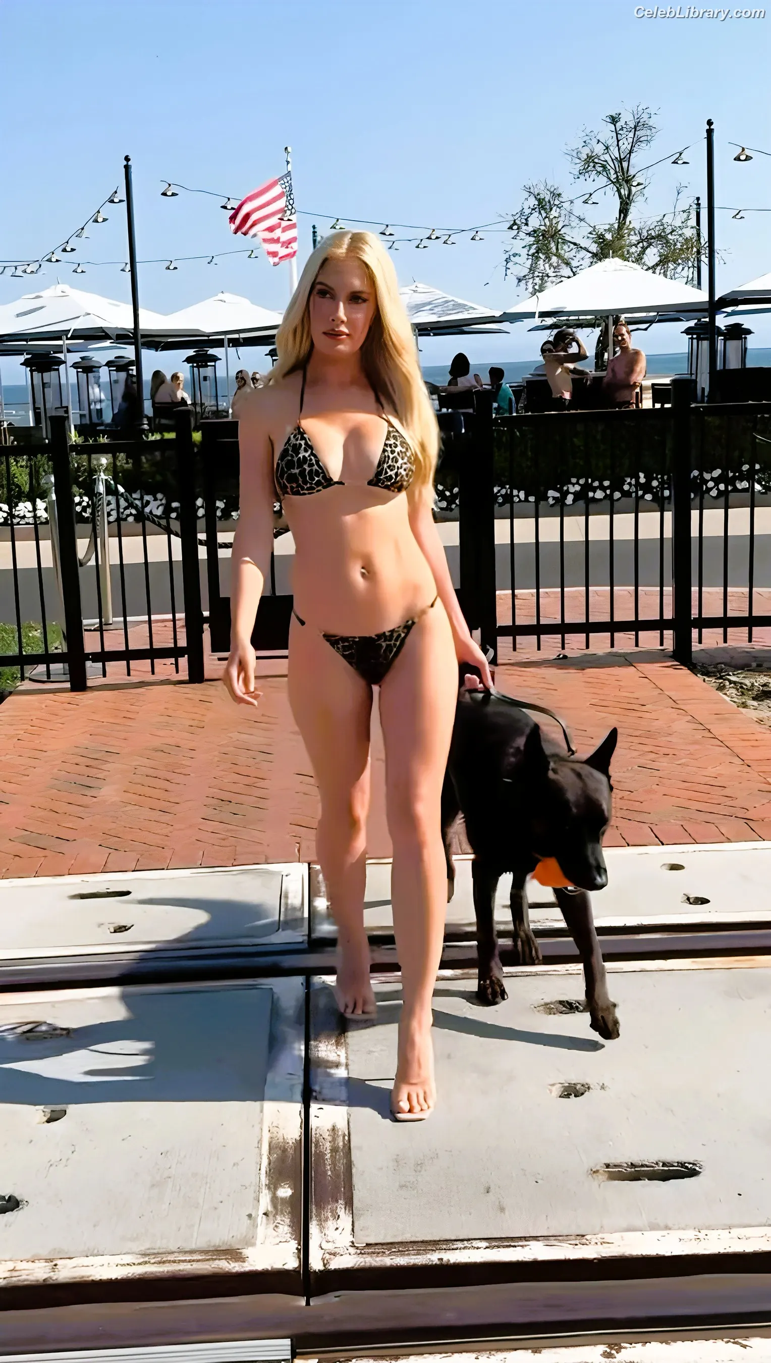 Heidi Montag photo 8 of 591