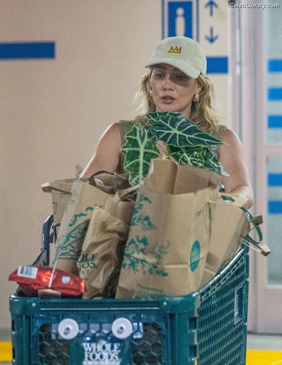 Hilary Duff photo 11 of 1413