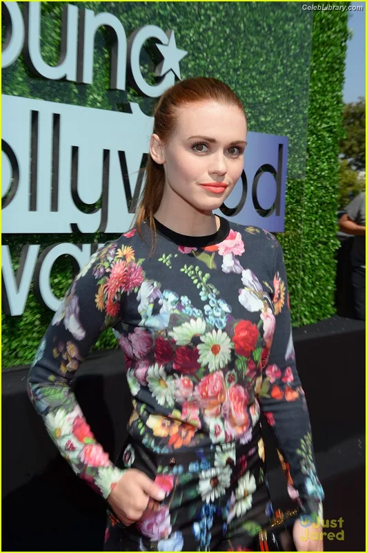 Holland roden photo 14 of 65