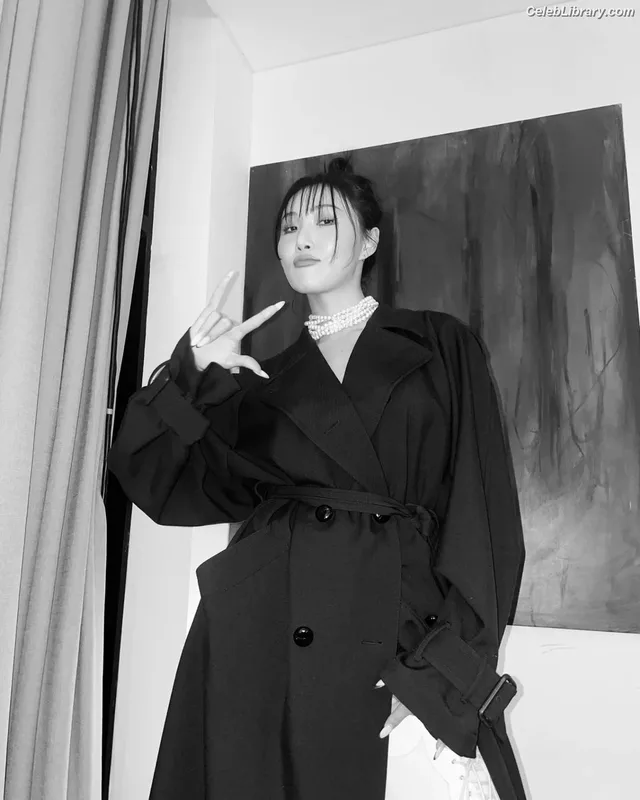 HWASA photo 13 of 469