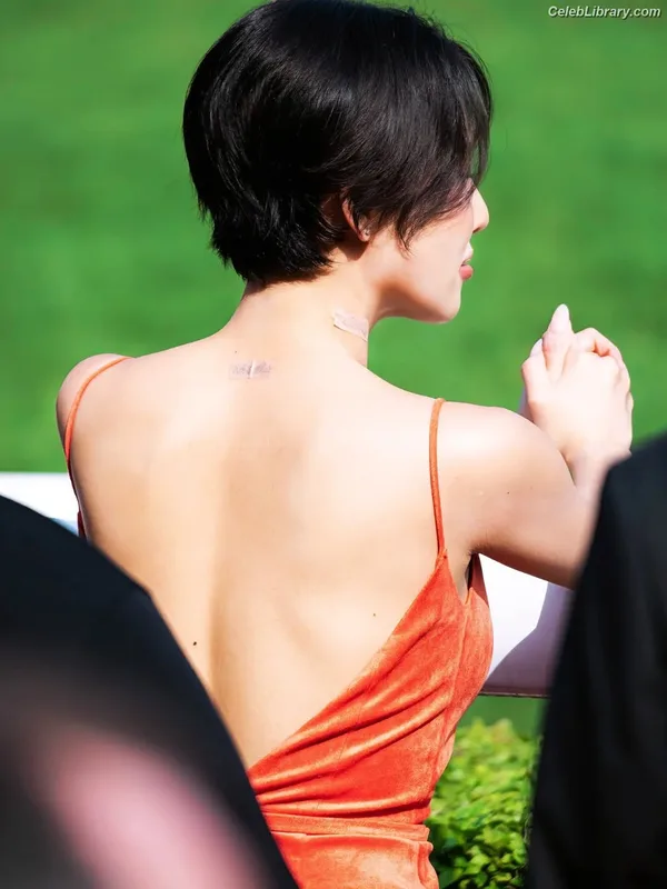 HWASA photo 2 of 469