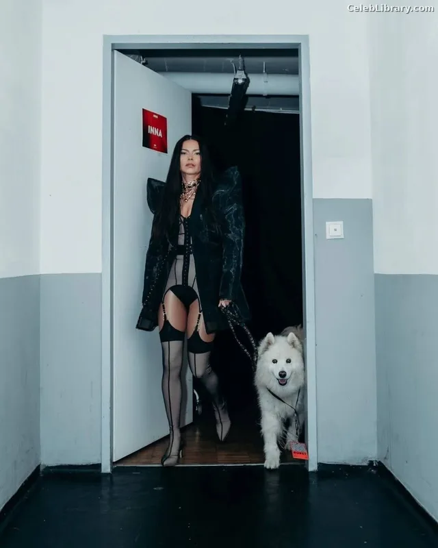 Inna(Elena Alexandra Apostoleanu) photo 3 of 442