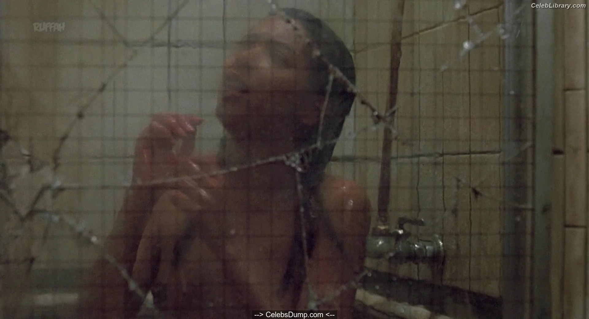Irene Cara photo 22 of 50