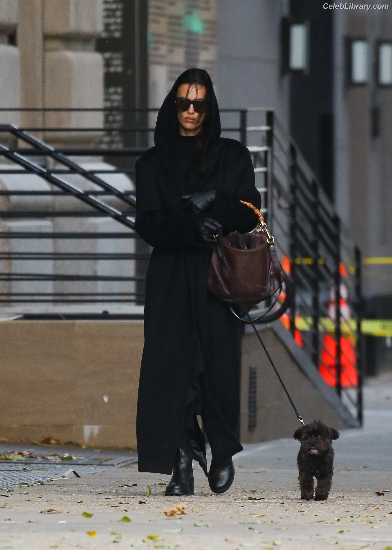 Irina Shayk photo 24 of 1221