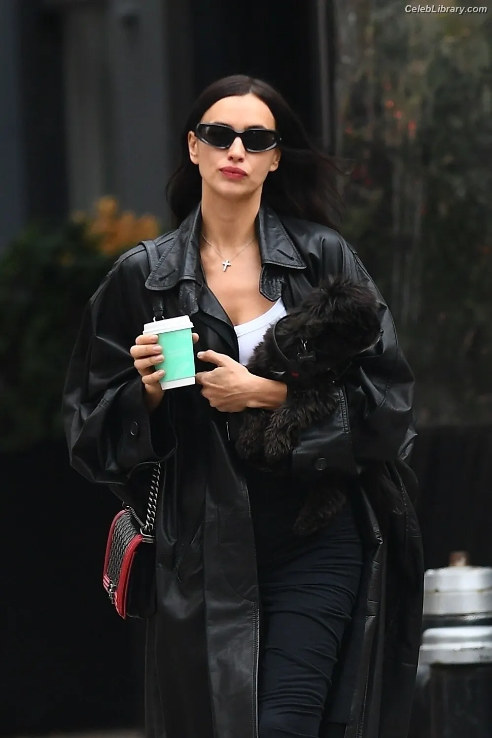 Irina Shayk photo 2 of 1221