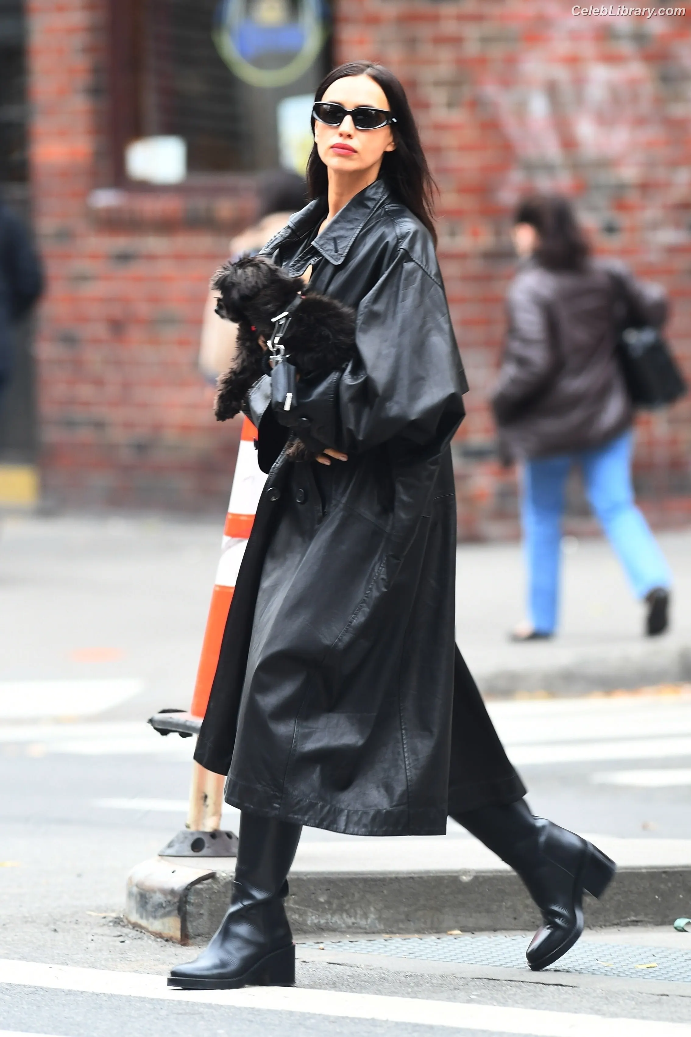 Irina Shayk photo 5 of 1221