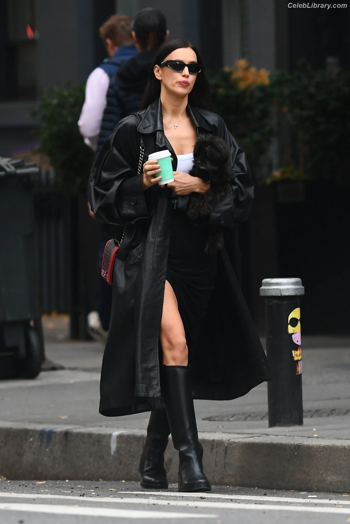 Irina Shayk photo 7 of 1221