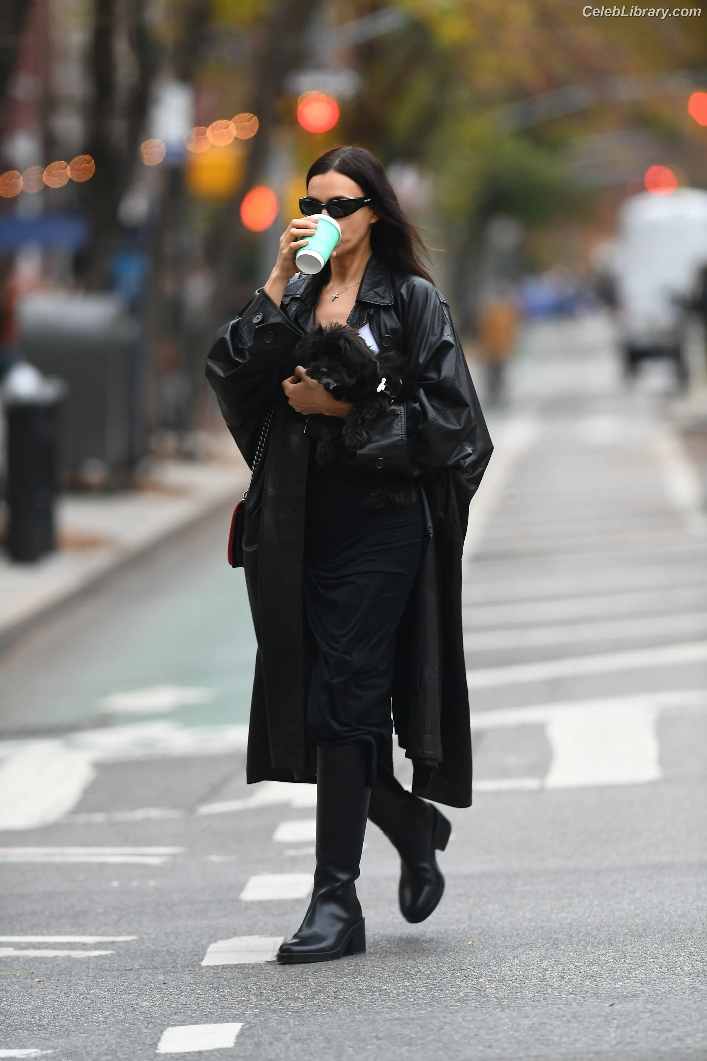 Irina Shayk photo 9 of 1221