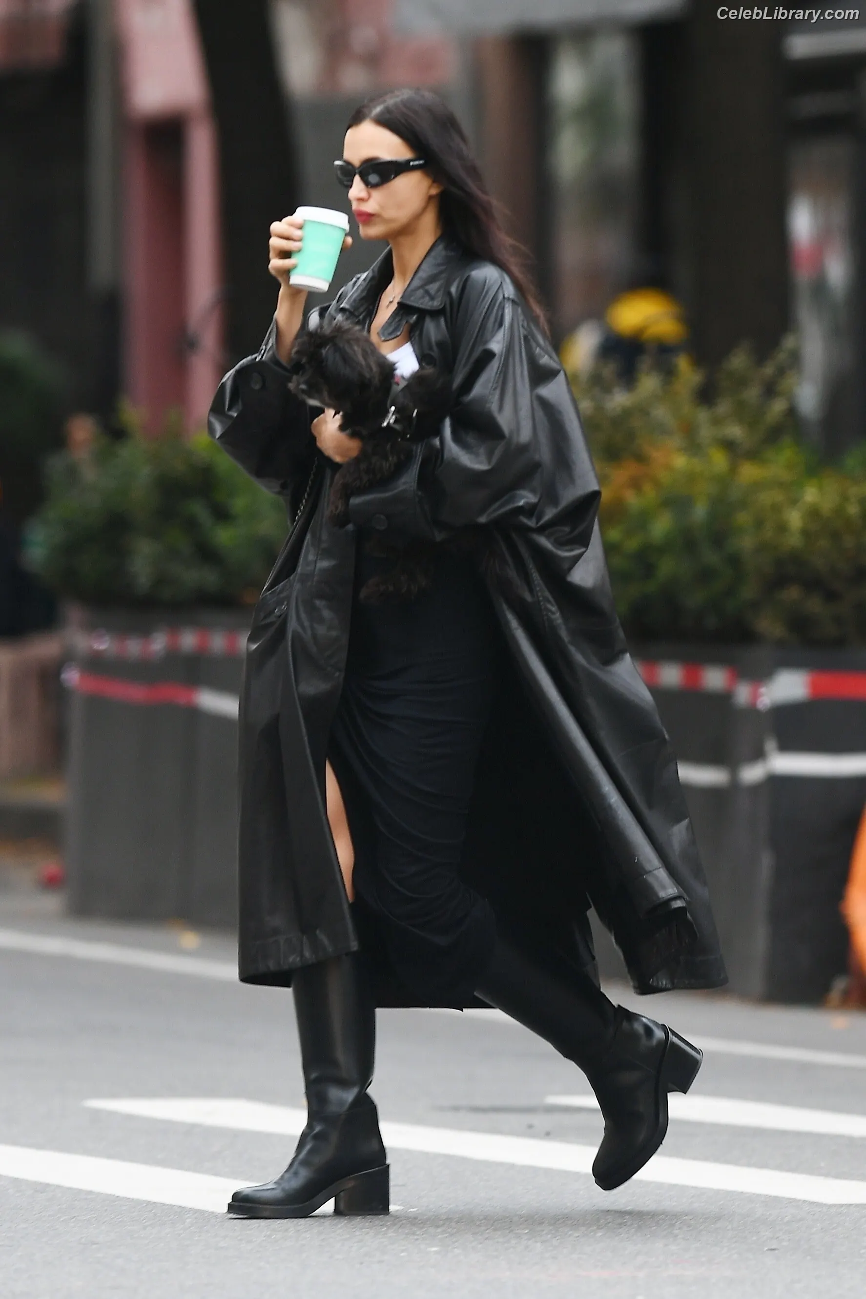 Irina Shayk photo 10 of 1221