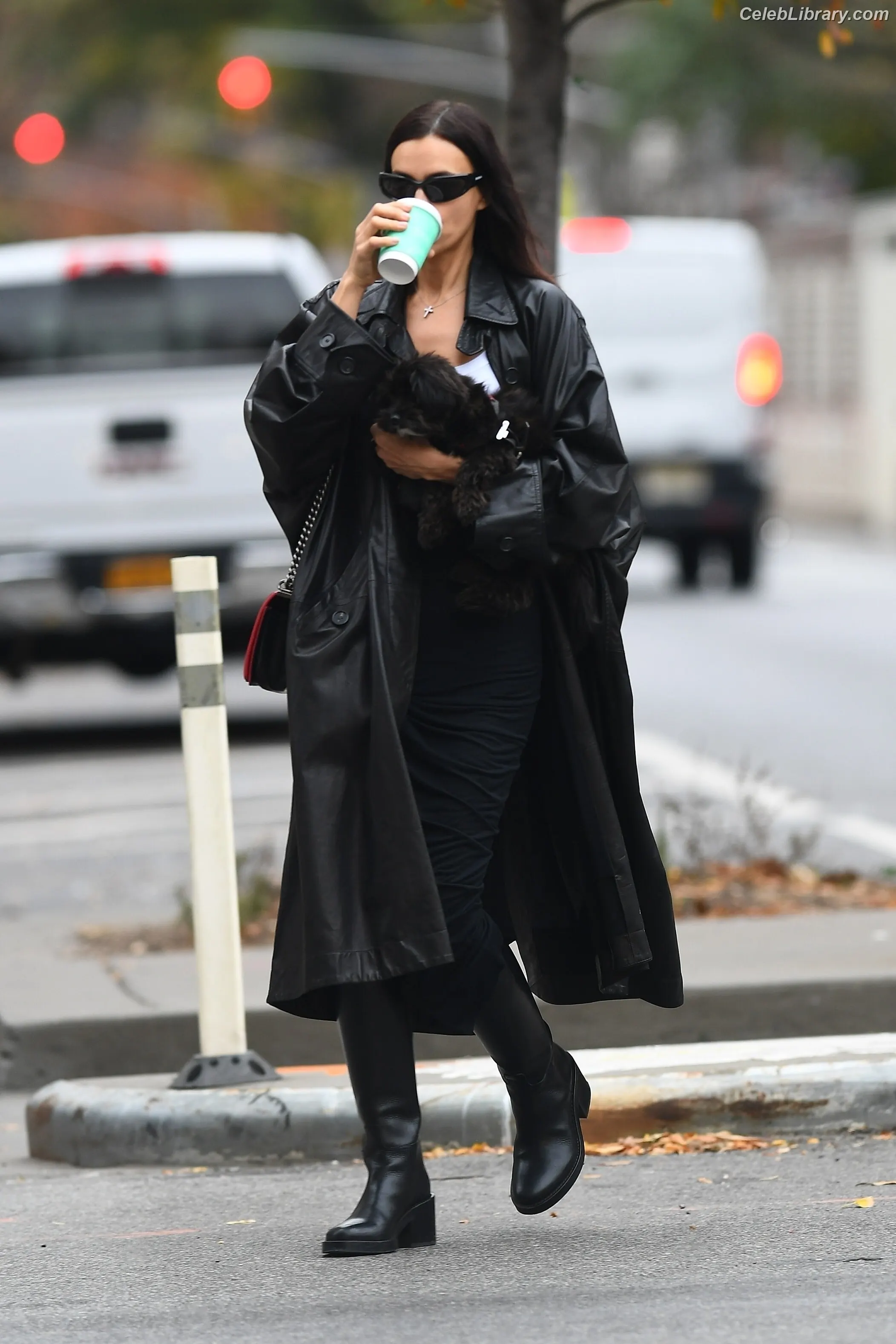 Irina Shayk photo 17 of 1221